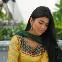 Shriya Saran new pictures | Picture 47204